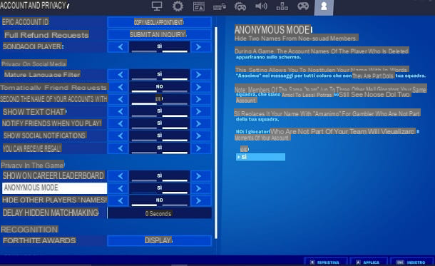How to put anonymous on Fortnite
